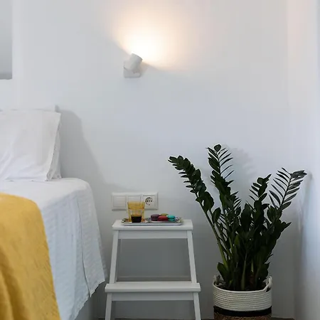 The Architect's House, 3br In Naxos Ano Potamia