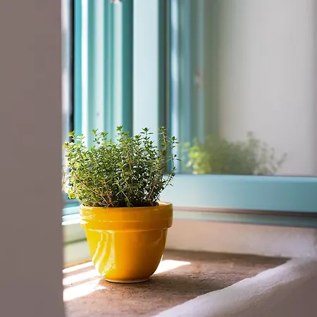 别墅 The Architect's House, 3br In Naxos Ano Potamia