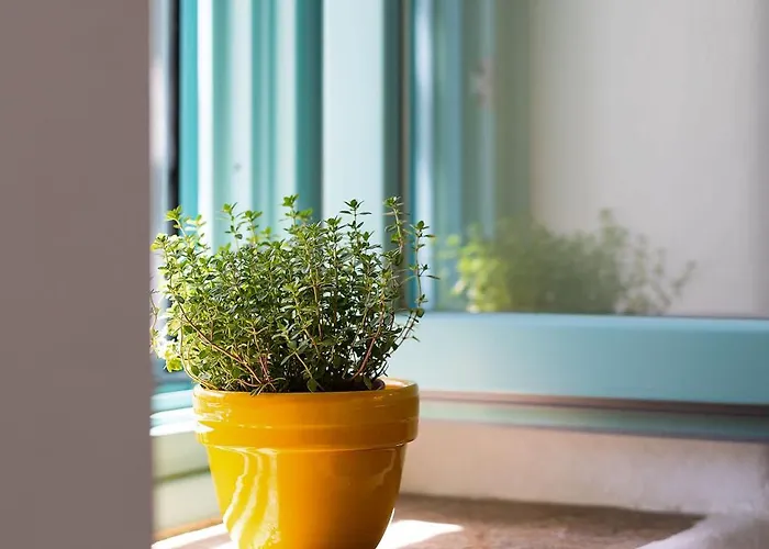 Villa The Architect's House, 3br In Naxos Ano Potamia